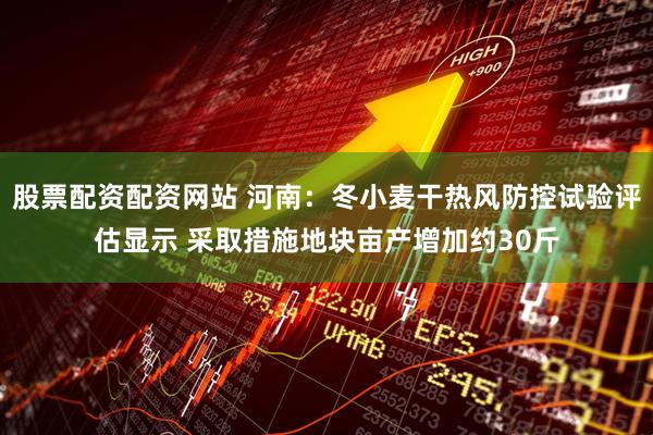 股票配资配资网站 河南：冬小麦干热风防控试验评估显示 采取措施地块亩产增加约30斤