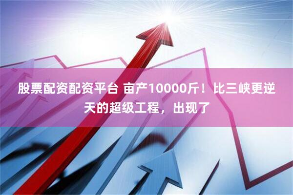 股票配资配资平台 亩产10000斤！比三峡更逆天的超级工程，出现了
